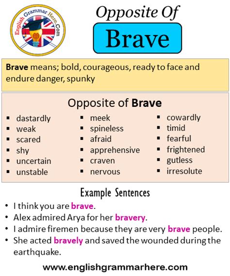 opposite of maverick|antonym of bravery.